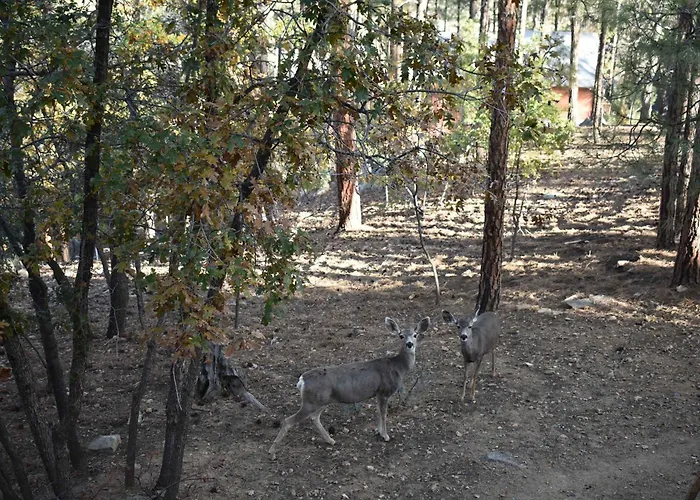 Holiday home Wildlife Views~hot Tub~fire Pit & Games